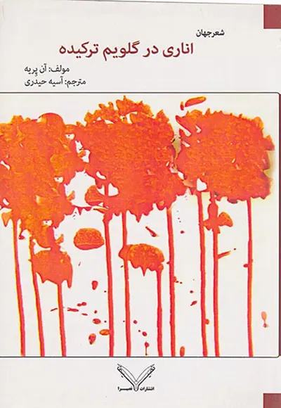 اناری در گلویم ترکیده